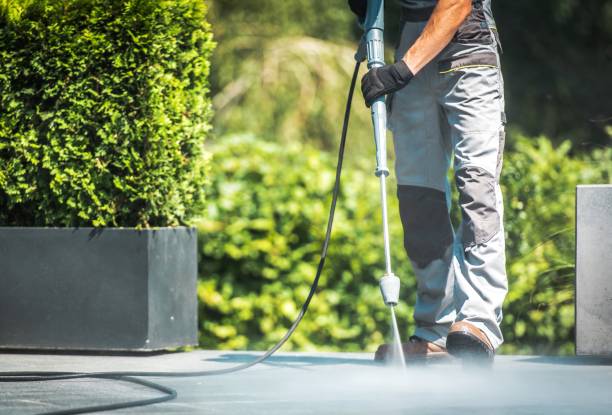 Best Pre-Holiday Cleaning  in Franklin, CA