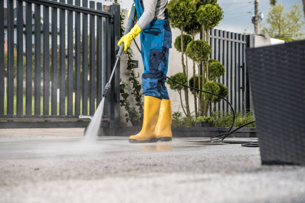 Best Driveway Pressure Washing  in Franklin, CA