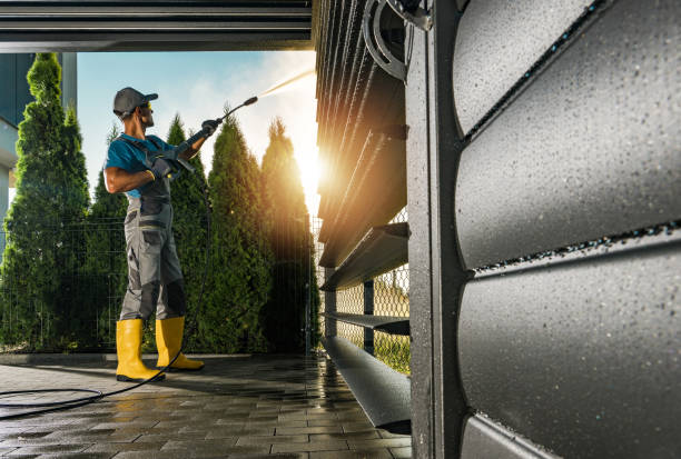 Best Gutter Cleaning  in Franklin, CA
